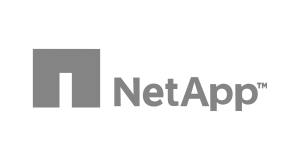 katoch designs client netapp