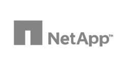 Katoch-Designs-client-Netapp